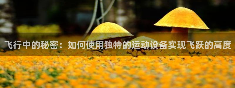 usdt被盗解决：飞行中的秘密：如何使用独特的运动设