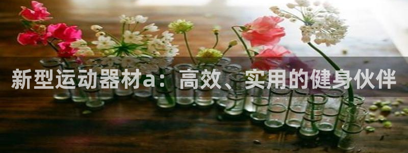 usdt汇款：新型运动器材a：高效、实用的健身伙伴