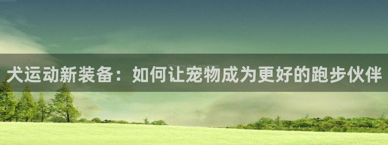 usdt怎么变成eth：犬运动新装备：如何让宠物成为