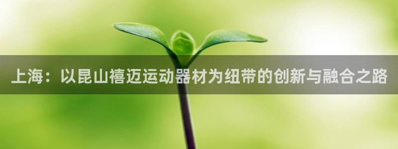 usdt协议区别：上海：以昆山禧迈运动器材为纽带的创新与融合