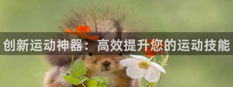 usdt到账查询：创新运动神器：高效提升您的运动技能