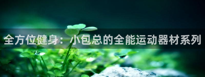 Usdt的钱包怎么转换中文：全方位健身：小包总的全能