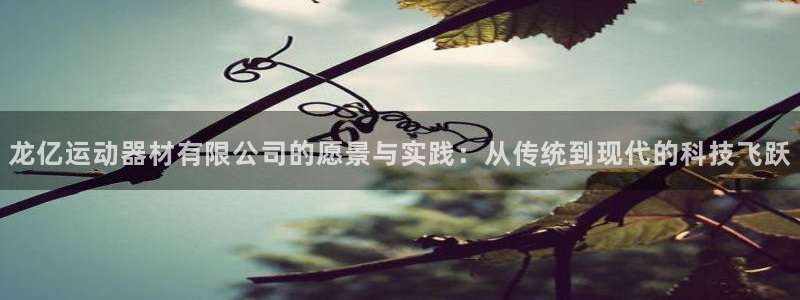 usdt地址查询交易去向：龙亿运动器材有限公司的愿景