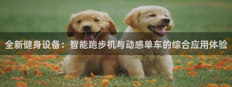 usdt安全吗：全新健身设备：智能跑步机与动感单车的