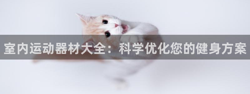 usdt如何提现最安全：室内运动器材大全：科学优化您