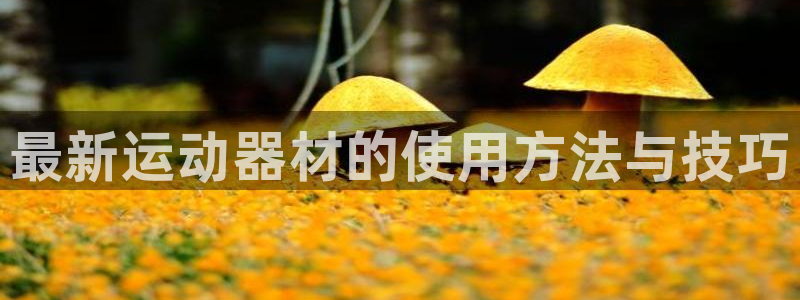 usdt为什么被冻结：最新运动器材的使用方法与技巧