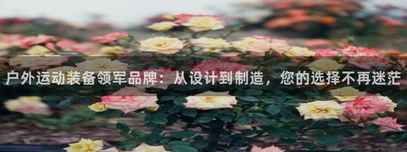 usdt钱包手机上怎么注册：户外运动装备领军品牌：从