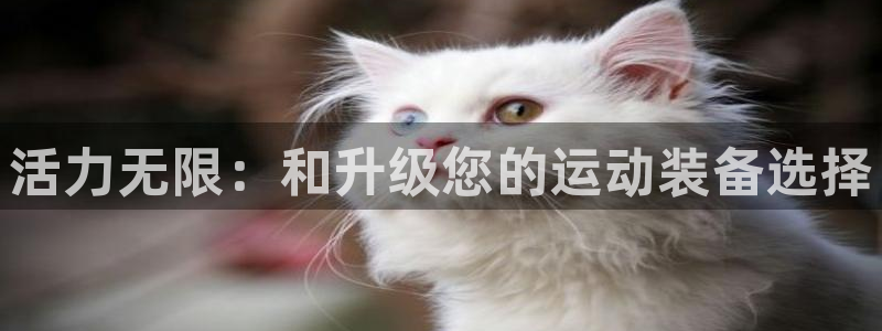 usdt钱包号和钱包别名：活力无限：和升级您的运动装