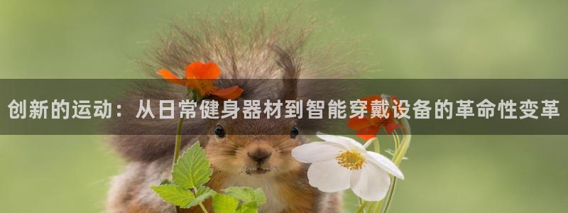 usdt账号被冻结了,怎么解冻：创新的运动：从日常健