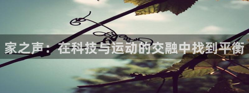 usdt会不会爆雷：家之声：在科技与运动的交融中找到