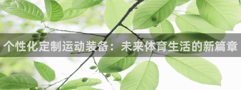 usdt转入imtoken钱包：个性化定制运动装备：