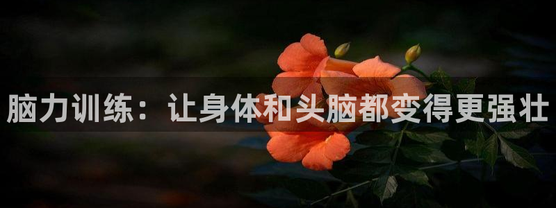 imtoken创建usdt地址：脑力训练：让身体和头