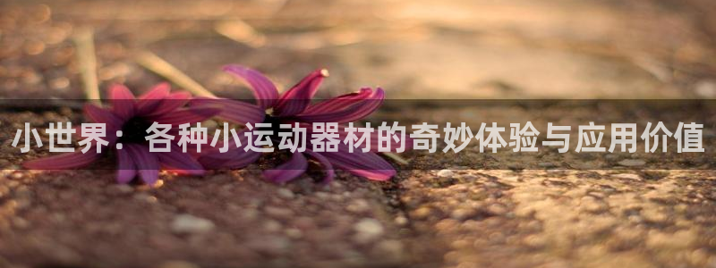 usdt钱包怎么下载安卓：小世界：各种小运动器材的奇