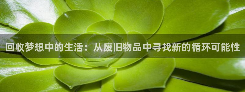 usdt查询网站：回收梦想中的生活：从废旧物品中寻找