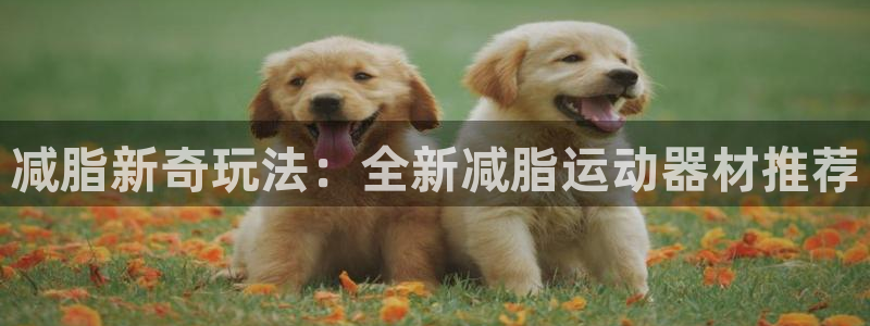 盗取usdt：减脂新奇玩法：全新减脂运动器材推荐