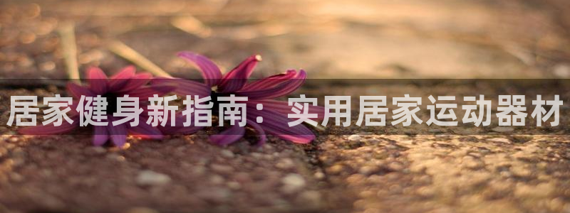 usdt申购容易吗：居家健身新指南：实用居家运动器材