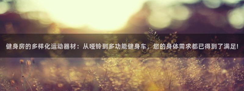 usdt address：健身房的多样化运动器材：从