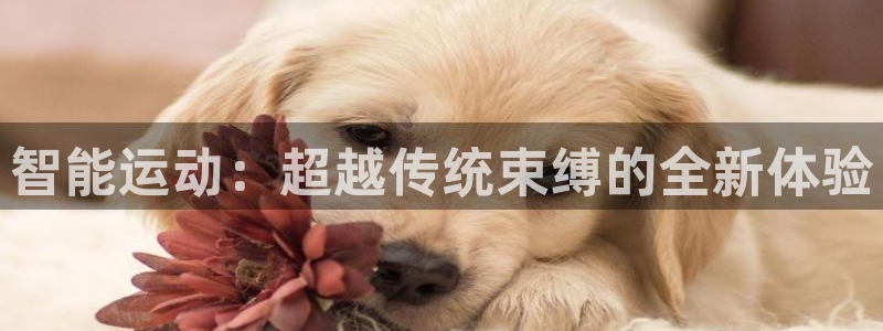 usdt提现限额：智能运动：超越传统束缚的全新体验
