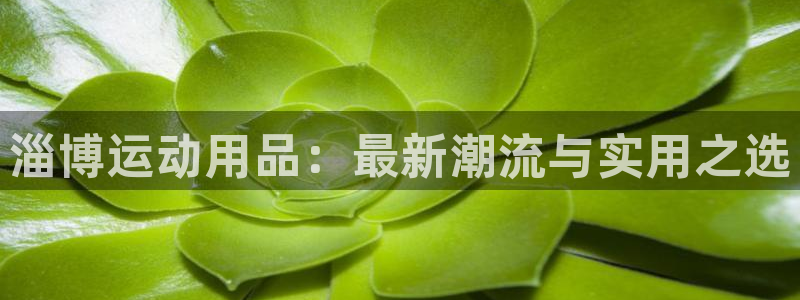 怎样注册usdt账号：淄博运动用品：最新潮流与实用之选