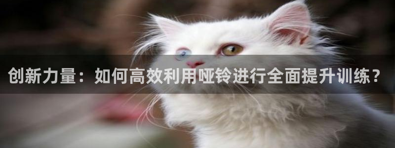 usdt钱包如何激活：创新力量：如何高效利用哑铃进行全面提升