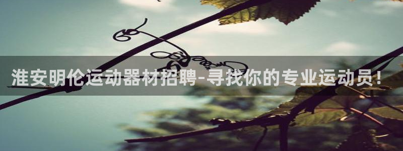 usdt网址查询：淮安明伦运动器材招聘-寻找你的专业