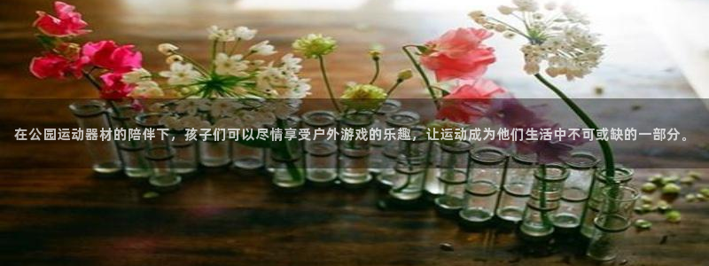 usdt交易可以追溯吗：在公园运动器材的陪伴下，孩子们可以尽